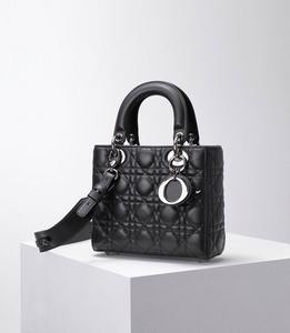 DIOR Handbags 457